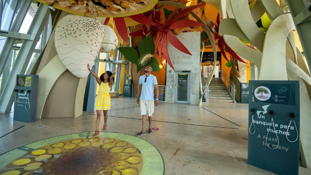 Panamá Biomuseo - Foto experiencia Biodiversidad 1 – Autoridad de Turismo de Panamá – Tripea Lo Tuyo