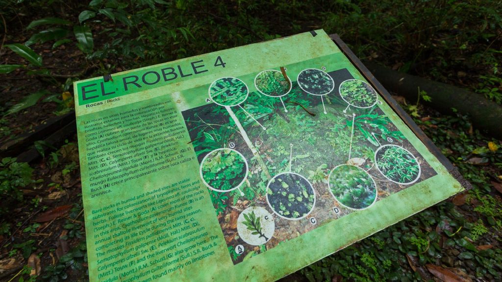 Panamá Parque Metropolitano - Foto experiencia Flora– Autoridad de Turismo de Panamá – Tripea Lo Tuyo