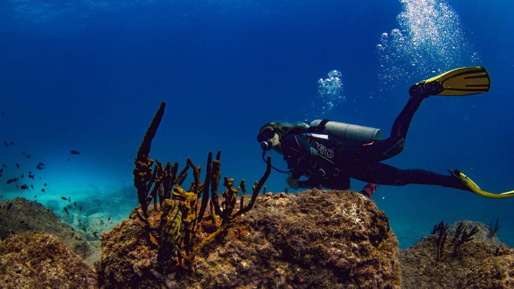 Veraguas Isla Coiba – Foto experiencia Buceo – Autoridad de Turismo de Panamá – Tripea Lo Tuyo